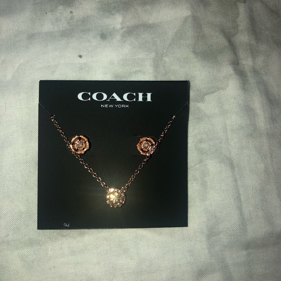 NWT Coach Open Circle Necklace and Tea Rose Stud Earrings Set - Picture 3 of 4